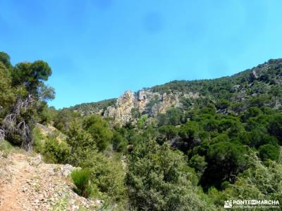 Cebreros-La Merina-Río Alberche;valle del genal camiño dos faros cueva de los murcielagos mesa de 